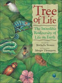 Tree of Life book cover